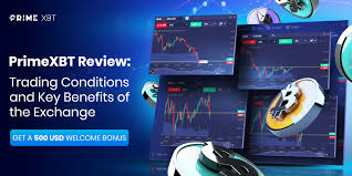 Exciting Opportunities Await in the PrimeXBT Contest Exciting Opportunities Await in the PrimeXBT Contest
